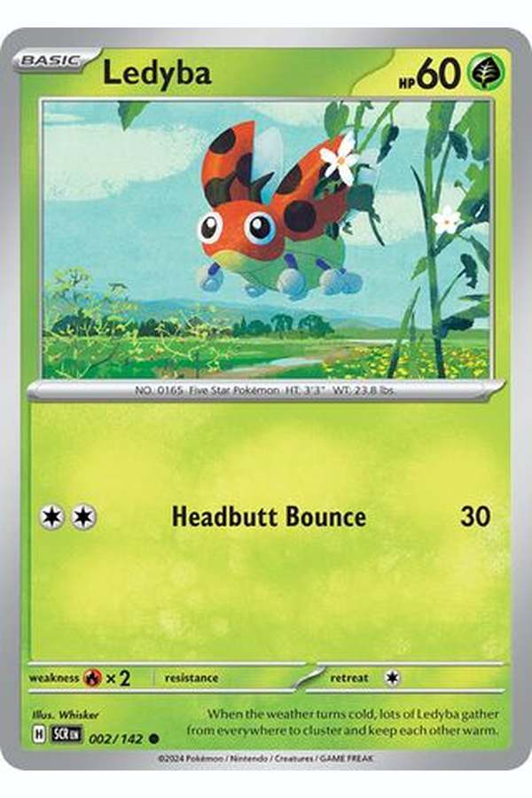 002/142 Ledyba - Common