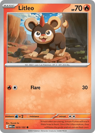 023/132 Litleo - Common