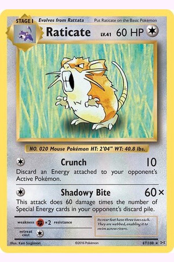 067/108 Raticate - Rare