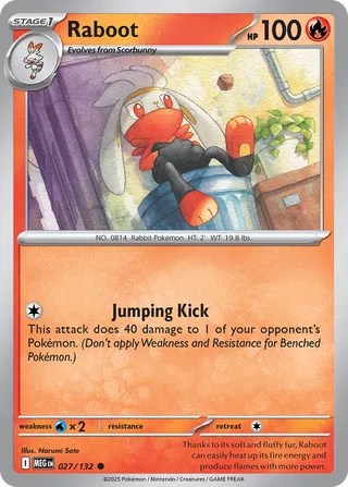 027/132 Raboot - Common