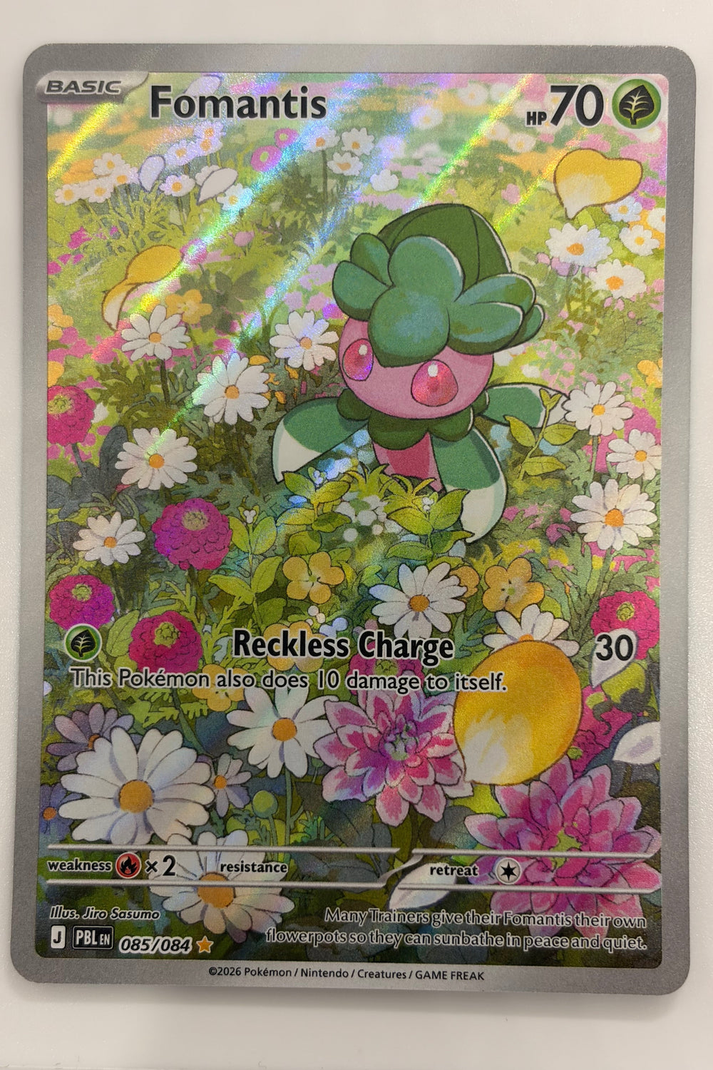 085/084 Fomantis - Illustration Rare