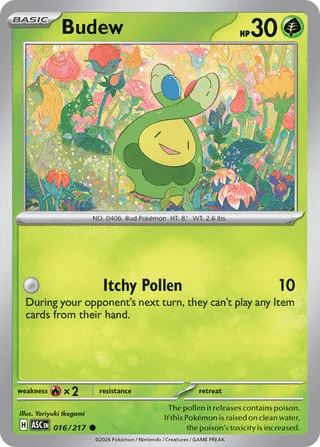016/217 Budew - Common