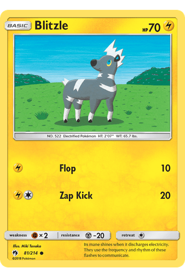 081 / 214 Blitzle-Common - Collectible Madness