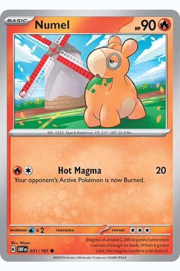 031/197 Numel - Common