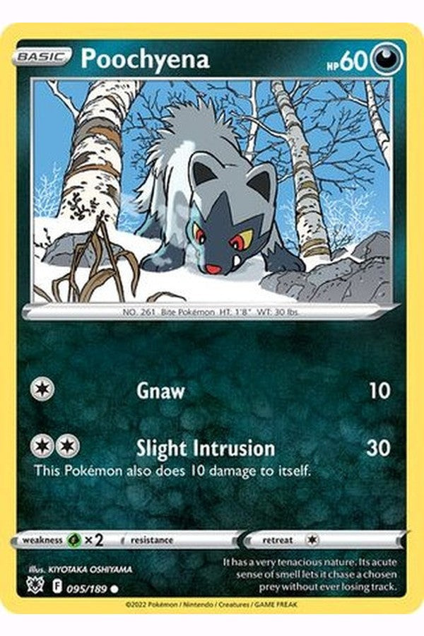 095/189 Poochyena - Common Reverse Holo - Collectible Madness