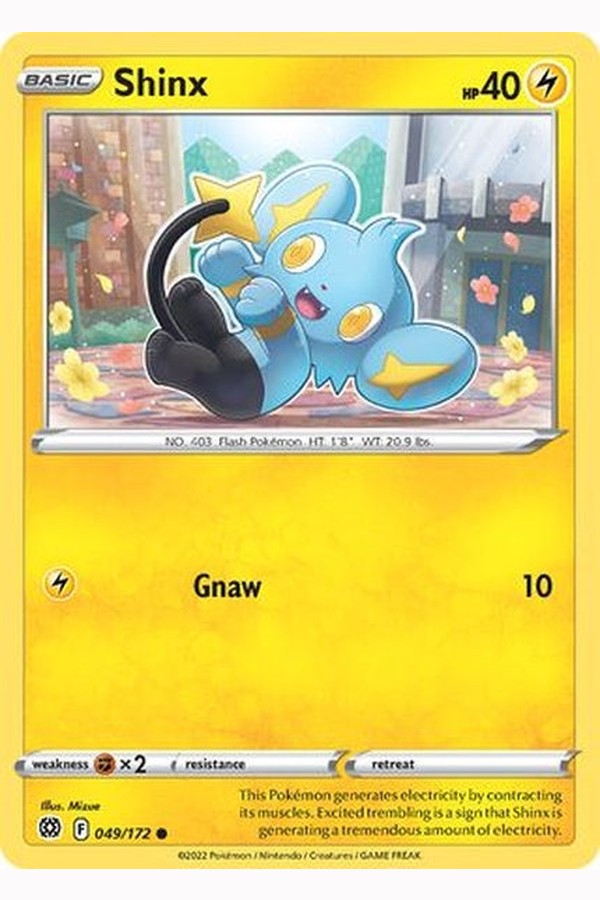 049/172 Shinx - Common - Collectible Madness