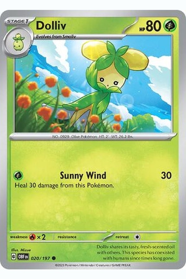 020/197 Dolliv - Common