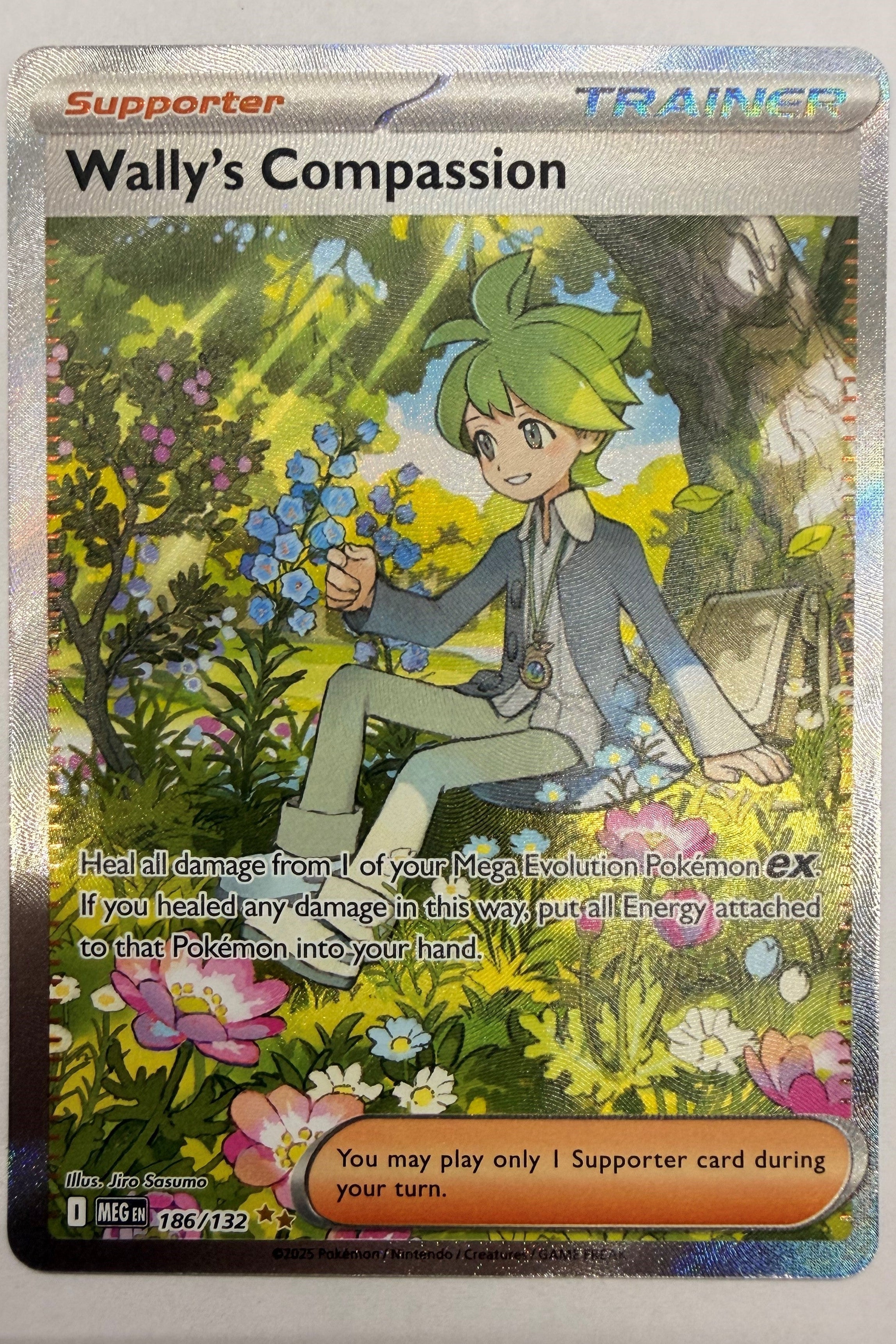 Wally's Compassion 186/132 Special Illustration Rare Mega Evolution NM