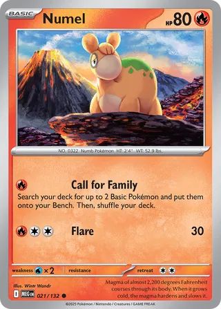 021/132 Numel - Common