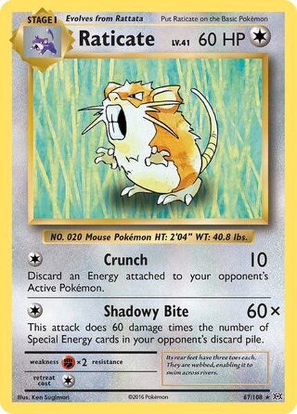 067/108 Raticate - Rare