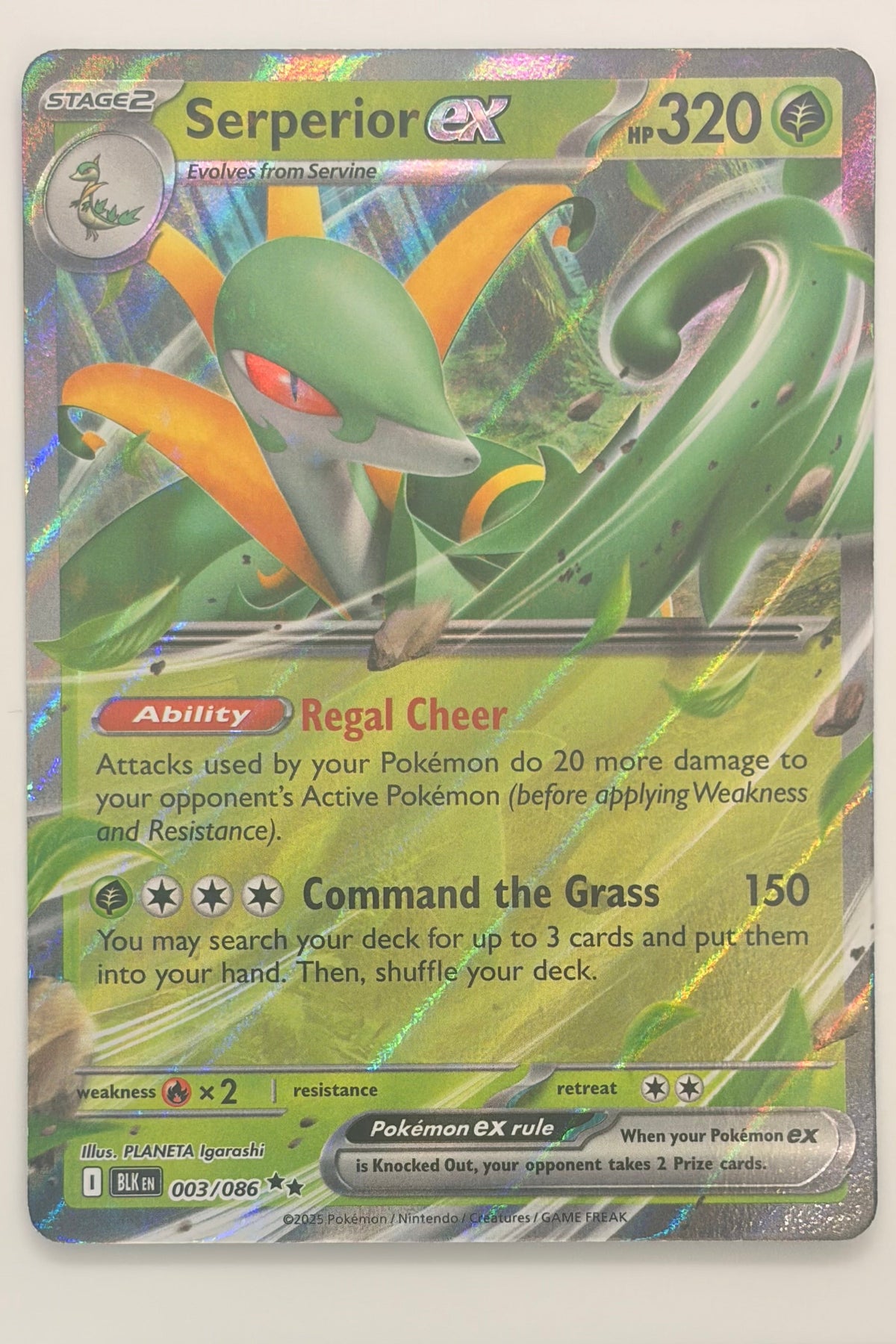 003/086 Serperior ex - Double Rare