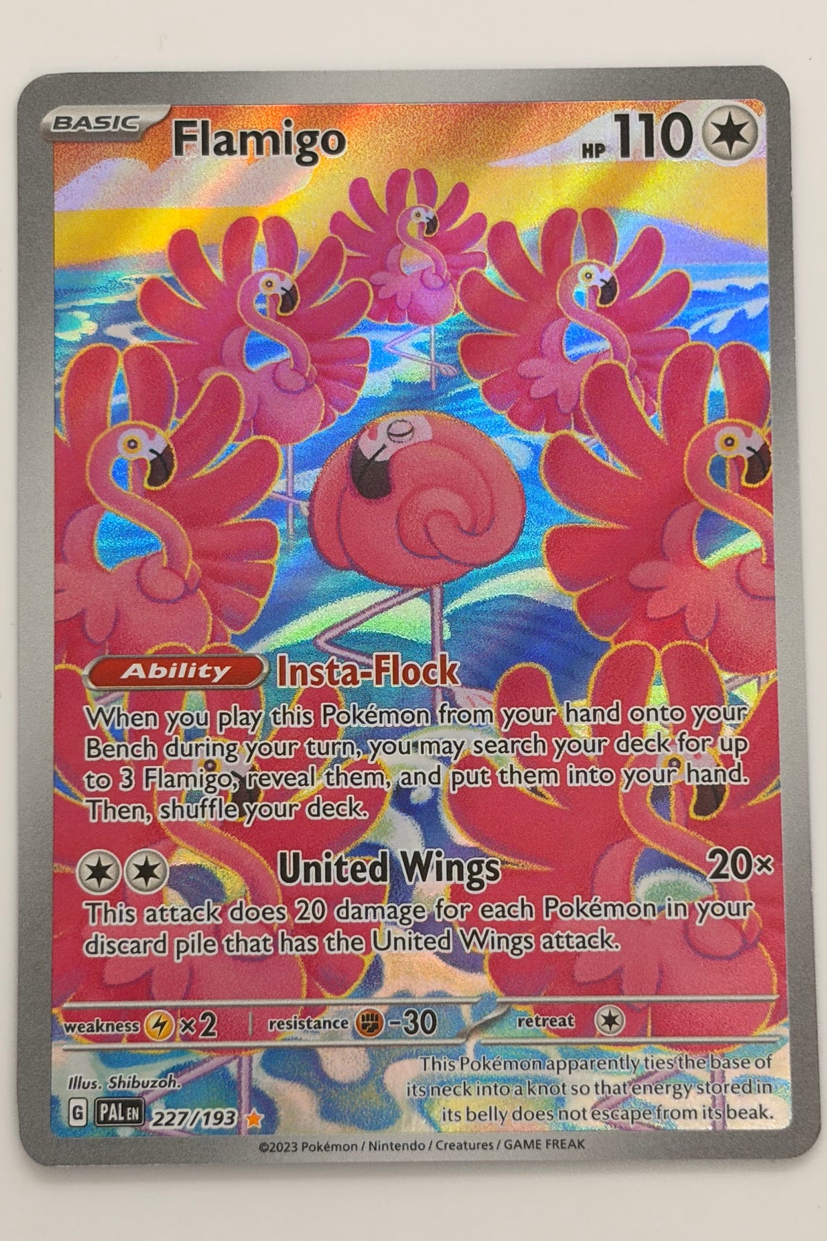 227/193 Flamigo - Illustration Rare
