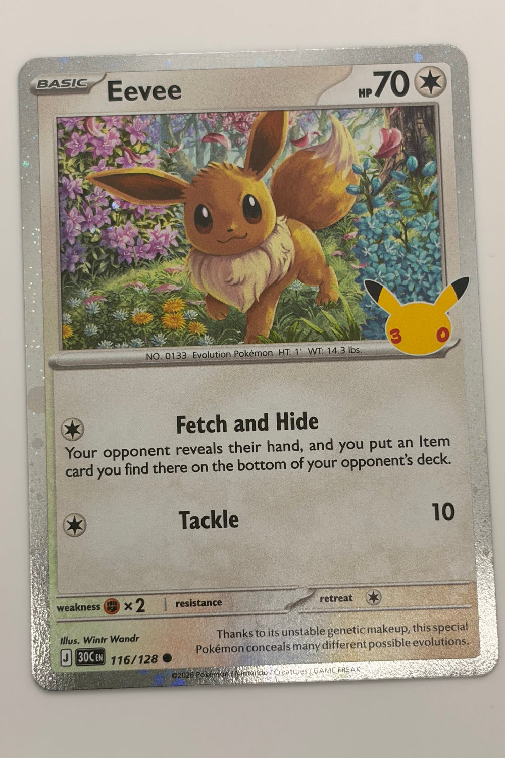 Eevee MEP 116/128 -  Black Star Promos