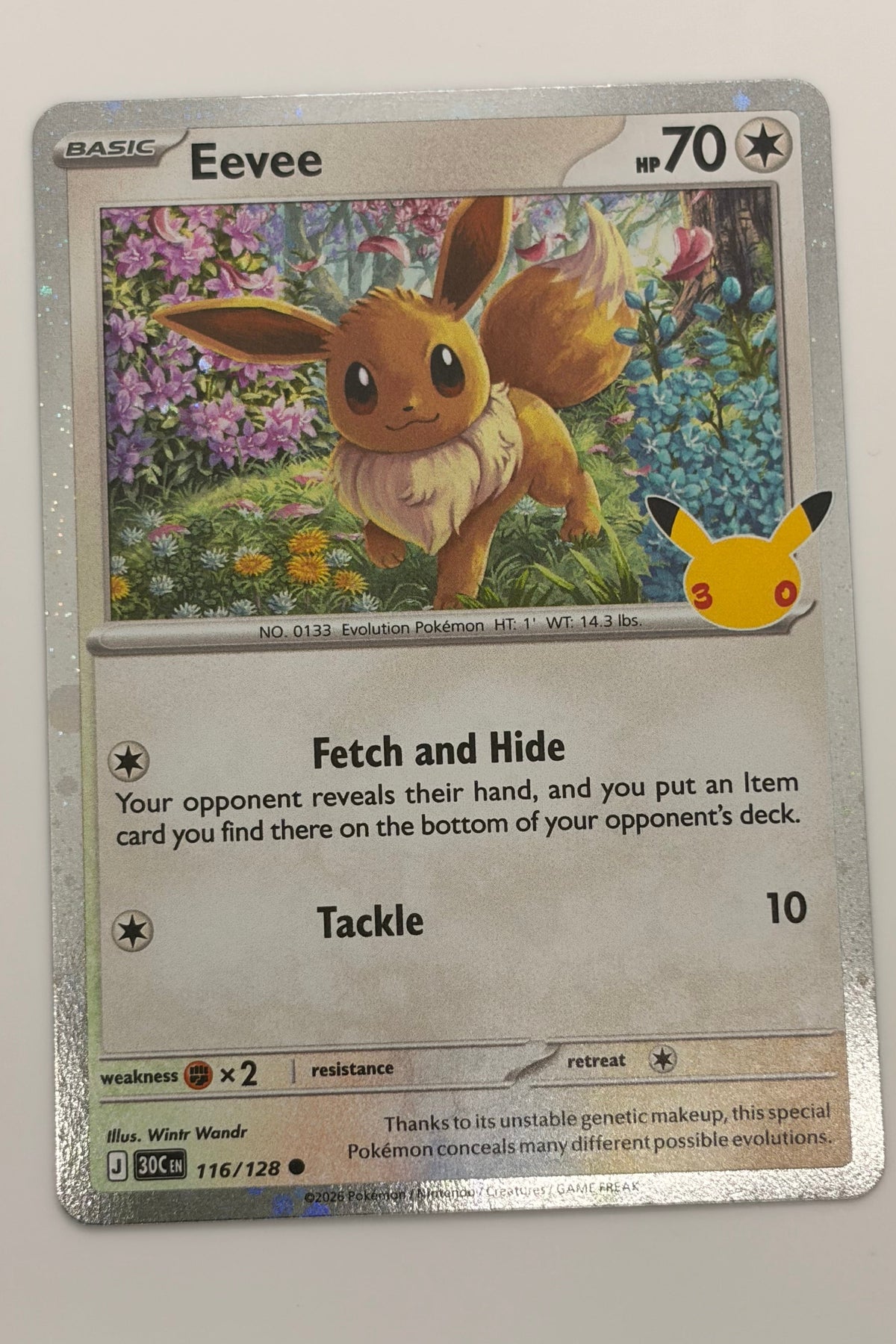 Eevee MEP 116/128 -  Black Star Promos