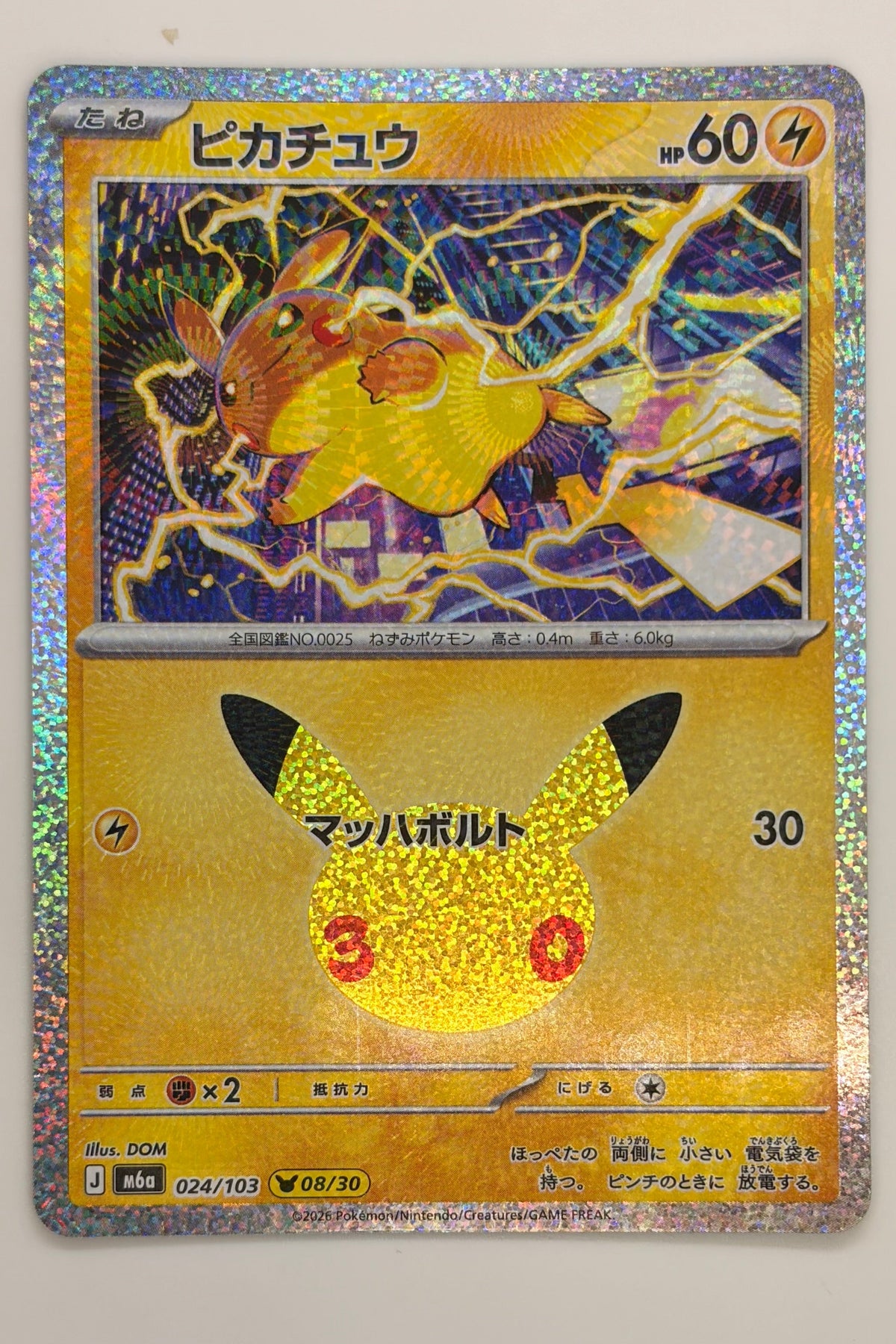 024/103 Pikachu