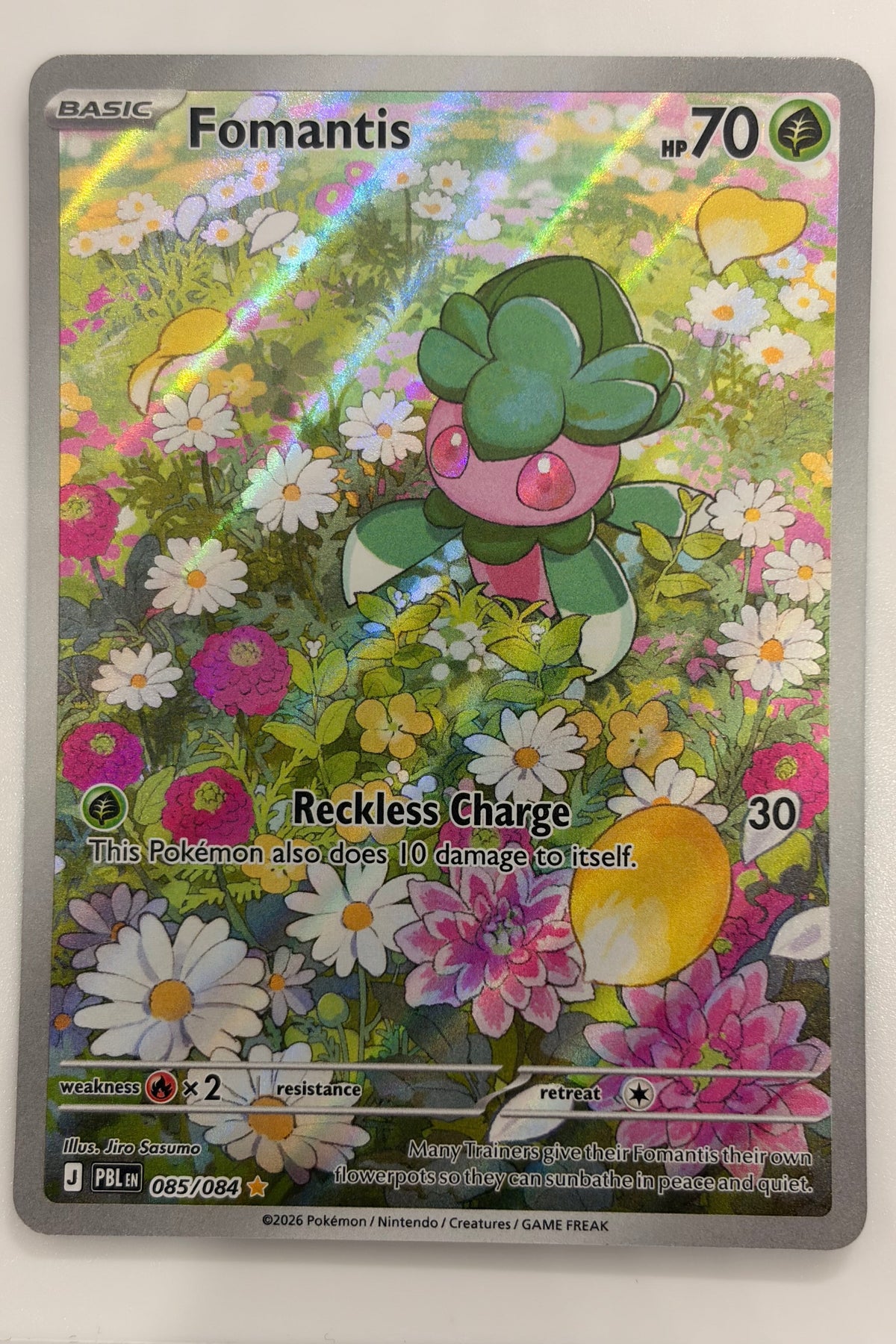 085/084 Fomantis - Illustration Rare