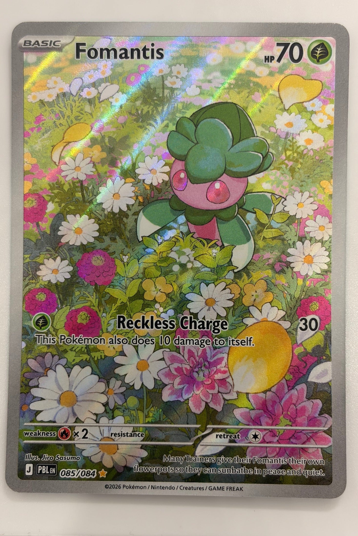 085/084 Fomantis - Illustration Rare