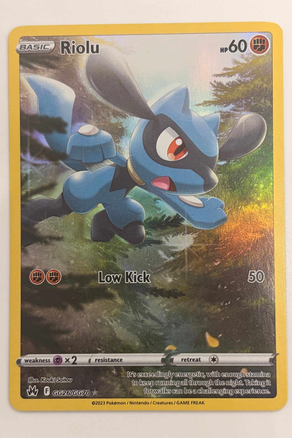GG26/GG70 Riolu - Rare Holo