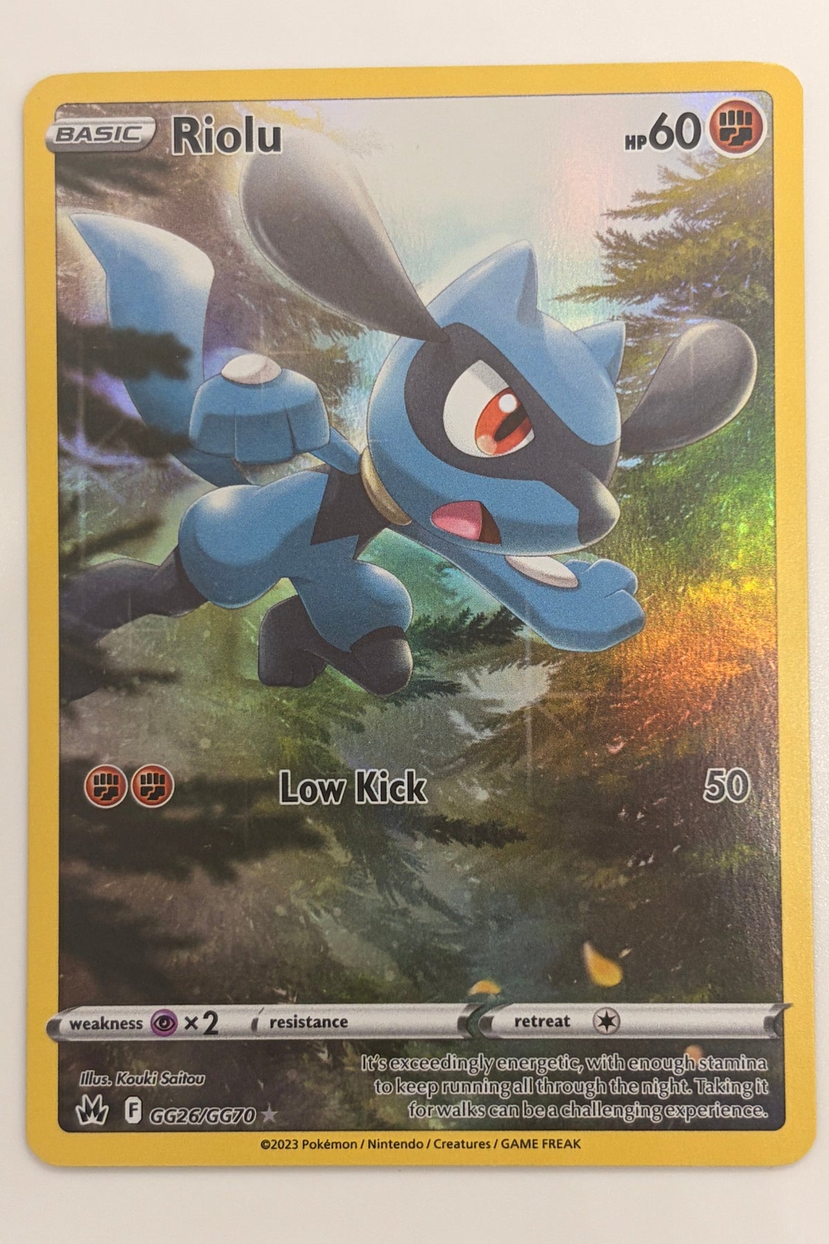 GG26/GG70 Riolu - Rare Holo