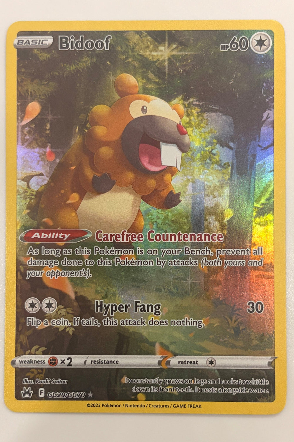GG29/GG70 Bidoof - Rare Holo
