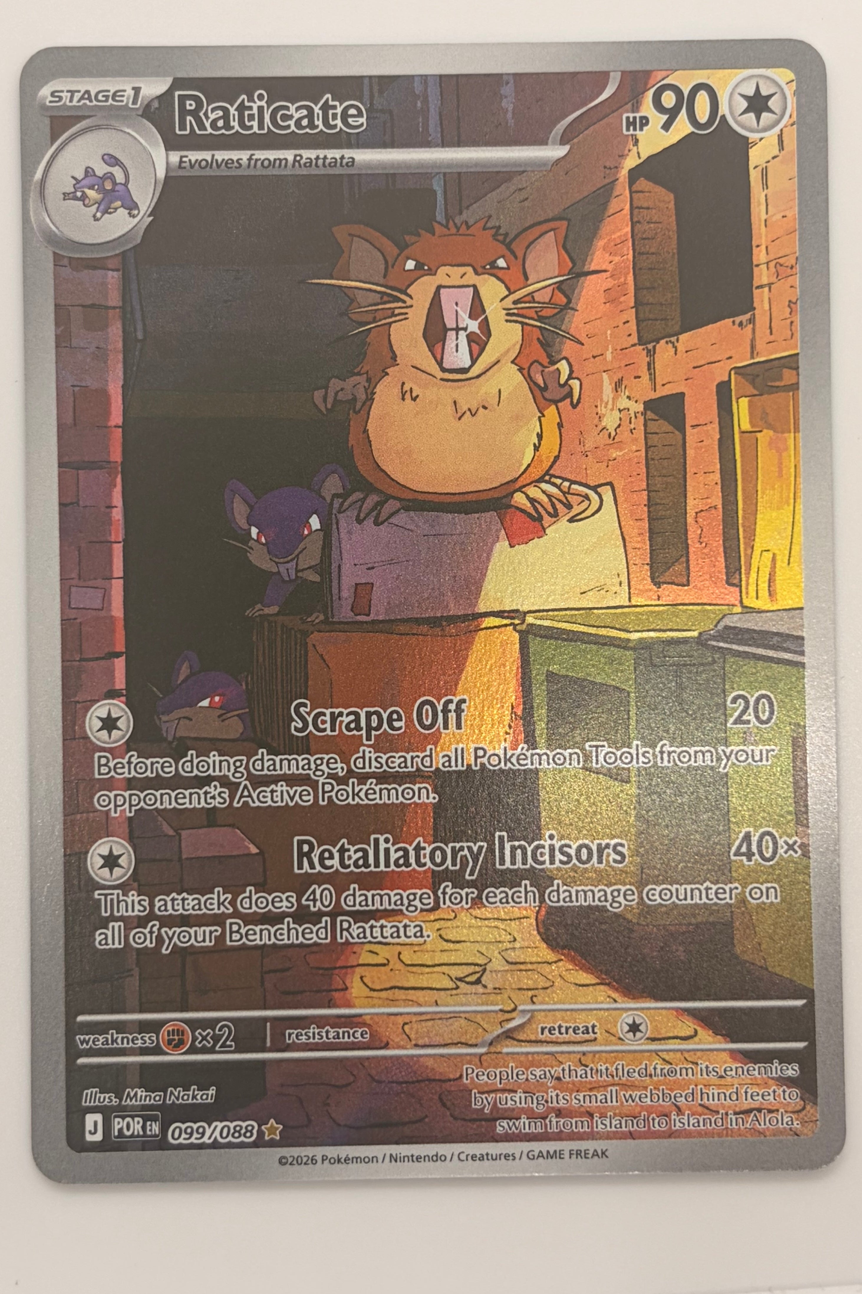 099/088 Raticate - Illustration Rare