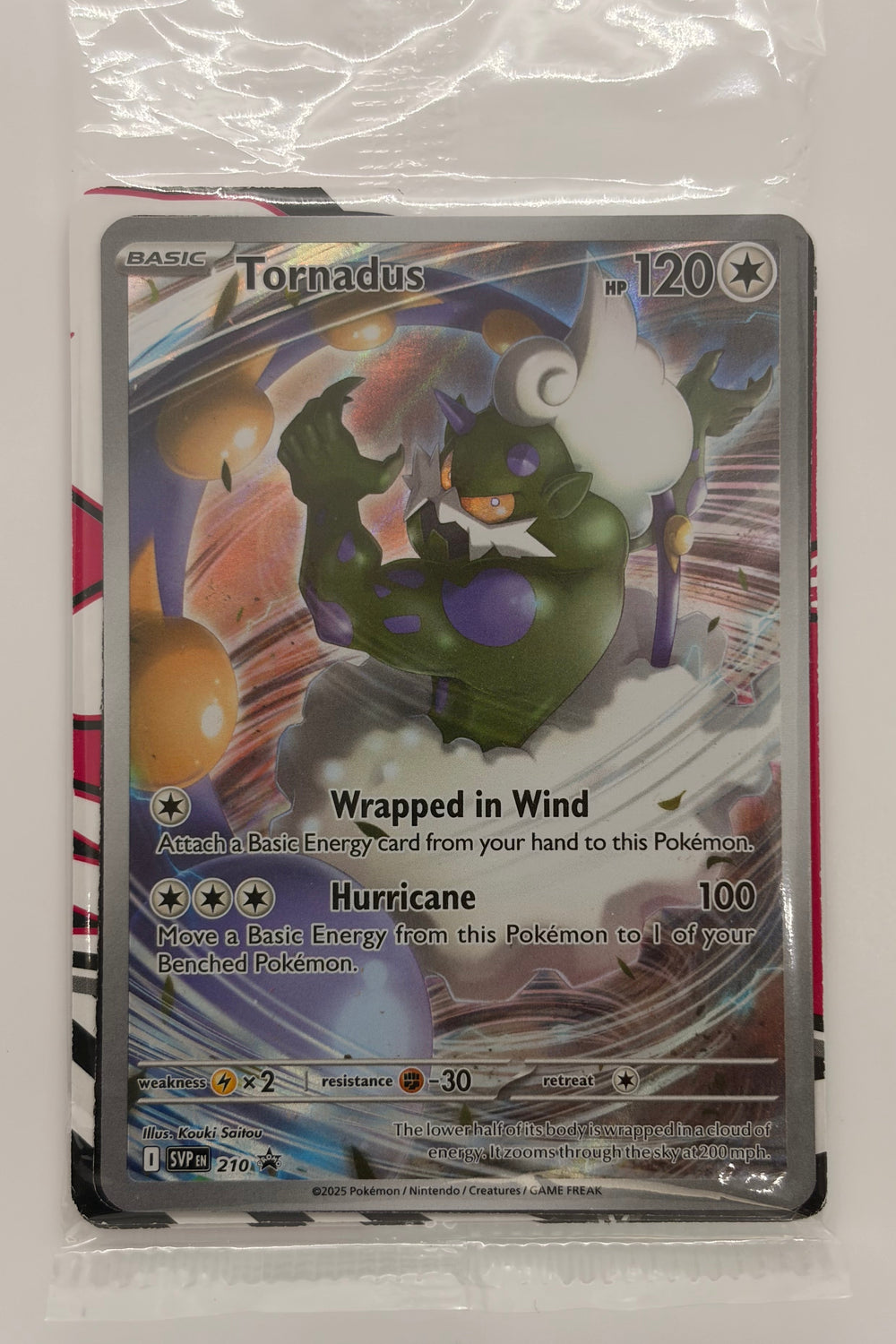 A Pokémon Tarnadus trading card sealed in a clear protective plastic sleeve, photographed against a plain light background.
