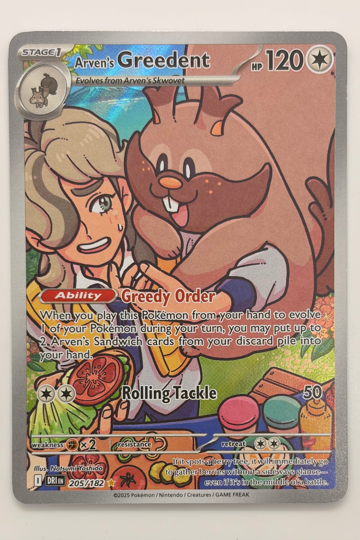 205/182 Arven's Greedent - Illustration Rare
