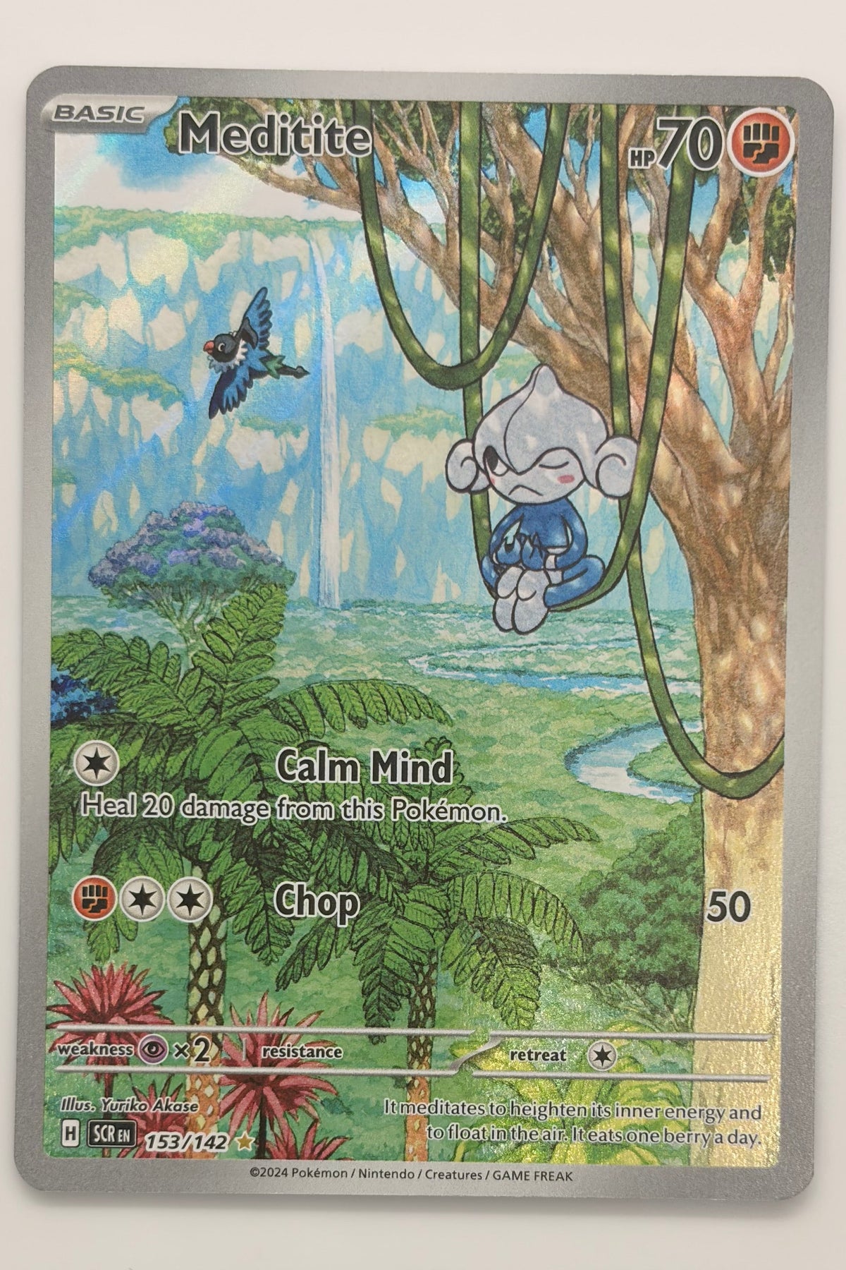 153/142 Meditite - Illustration Rare
