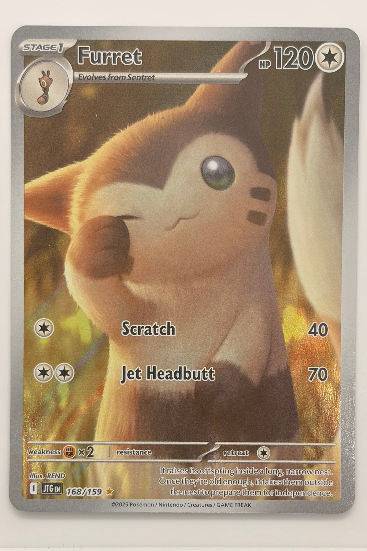 168/159 Furret - Illustration Rare