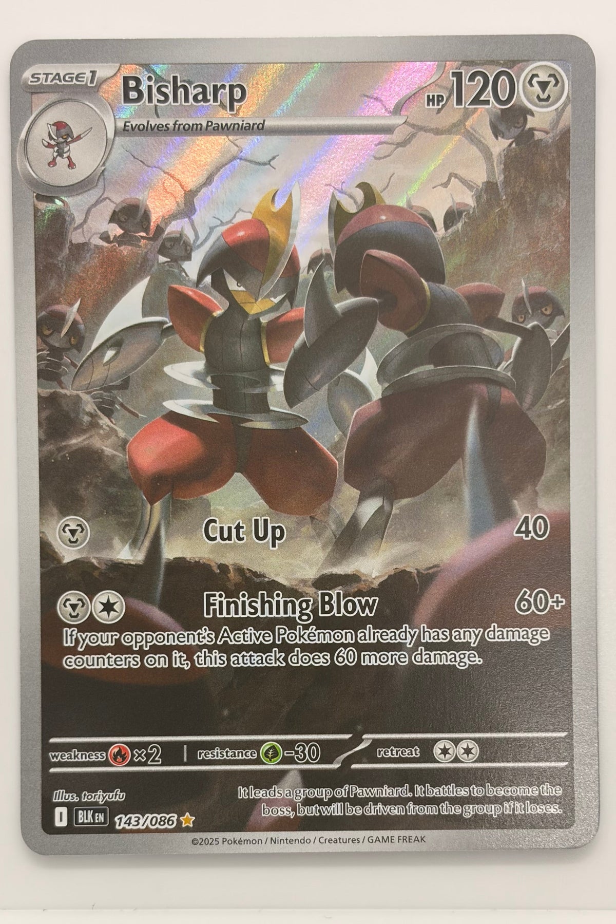 143/086 Bisharp - Illustration Rare
