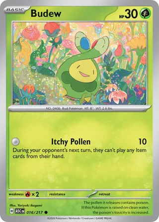 016/217 Budew - Common
