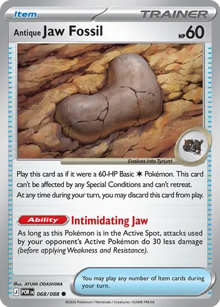 068/088 Antique Jaw Fossil - Common