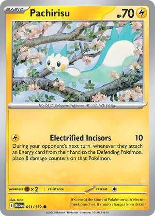 051/132 Pachirisu - Common Reverse Holo