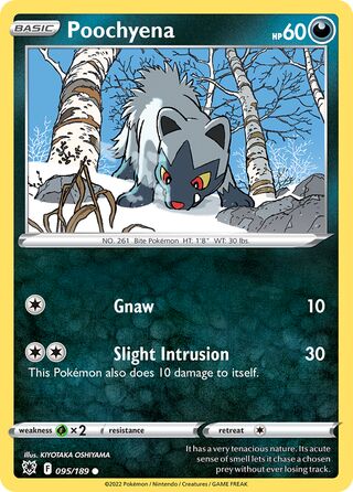 095/189 Poochyena - Common - Collectible Madness