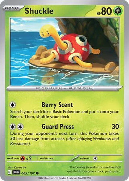 005/197 Shuckle - Common