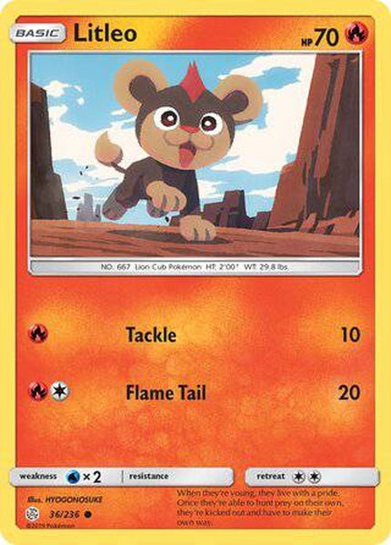 036/236 Litleo - Common - Collectible Madness