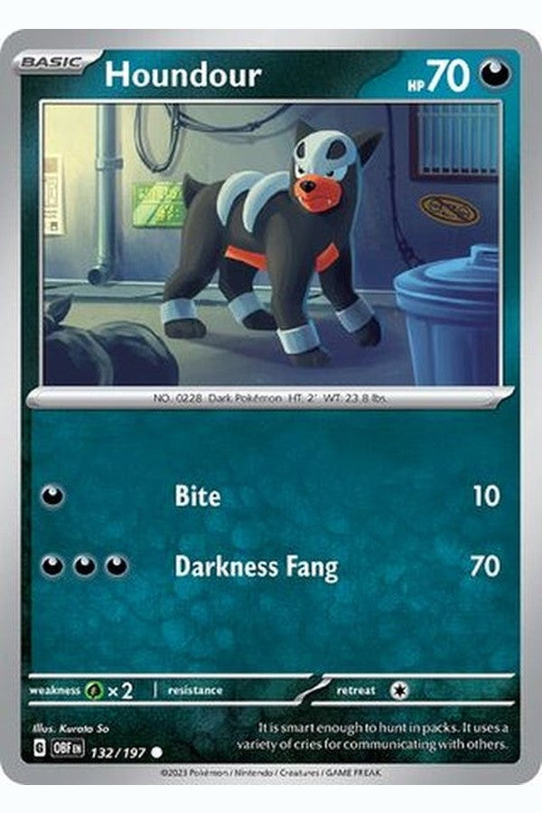 132/197 Houndour - Common