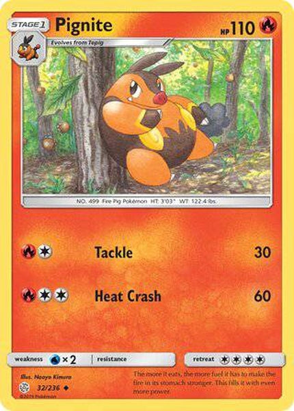 032/236 Pignite - Uncommon - Collectible Madness
