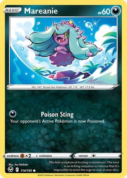 114/195 Mareanie - Common