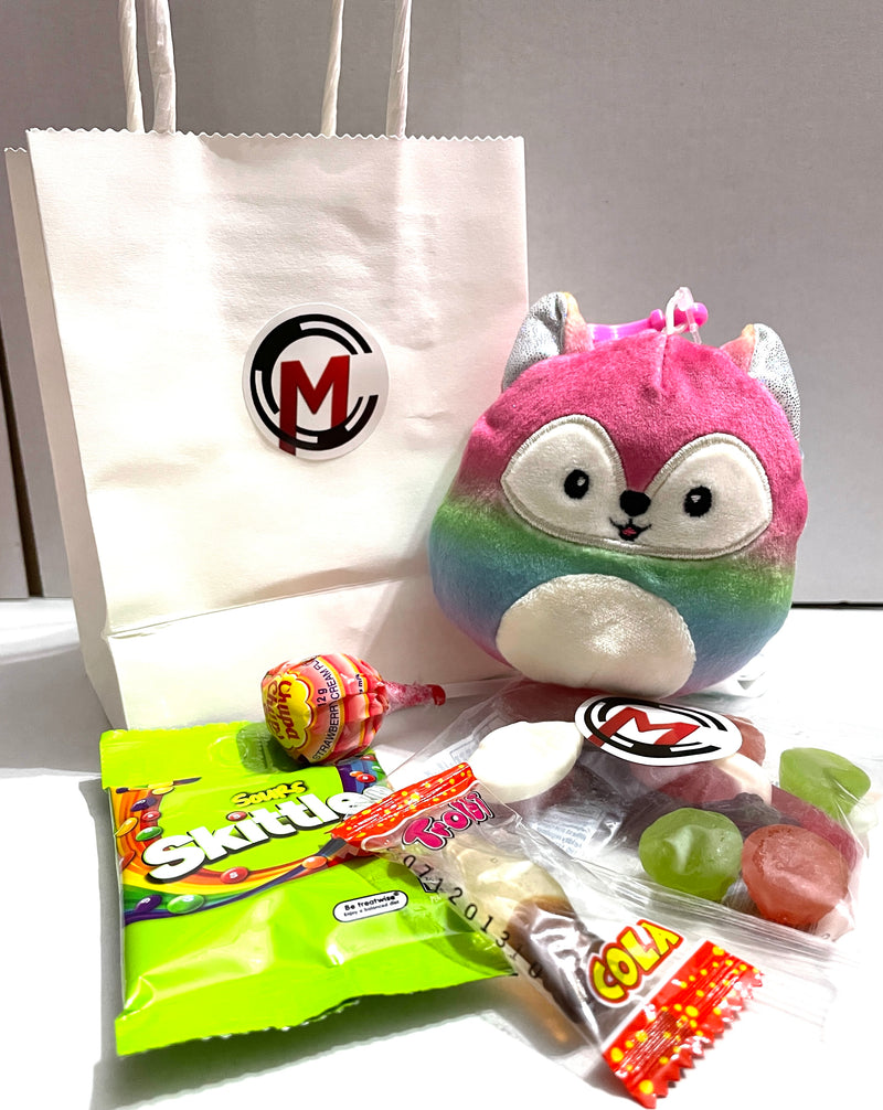 CM - Gift Bag - Squishmallow V2 - Collectible Madness