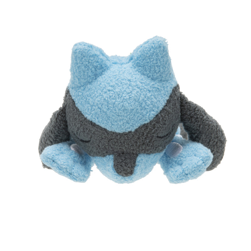 POKEMON PLUSH Sleeping Assortment 5" - Collectible Madness